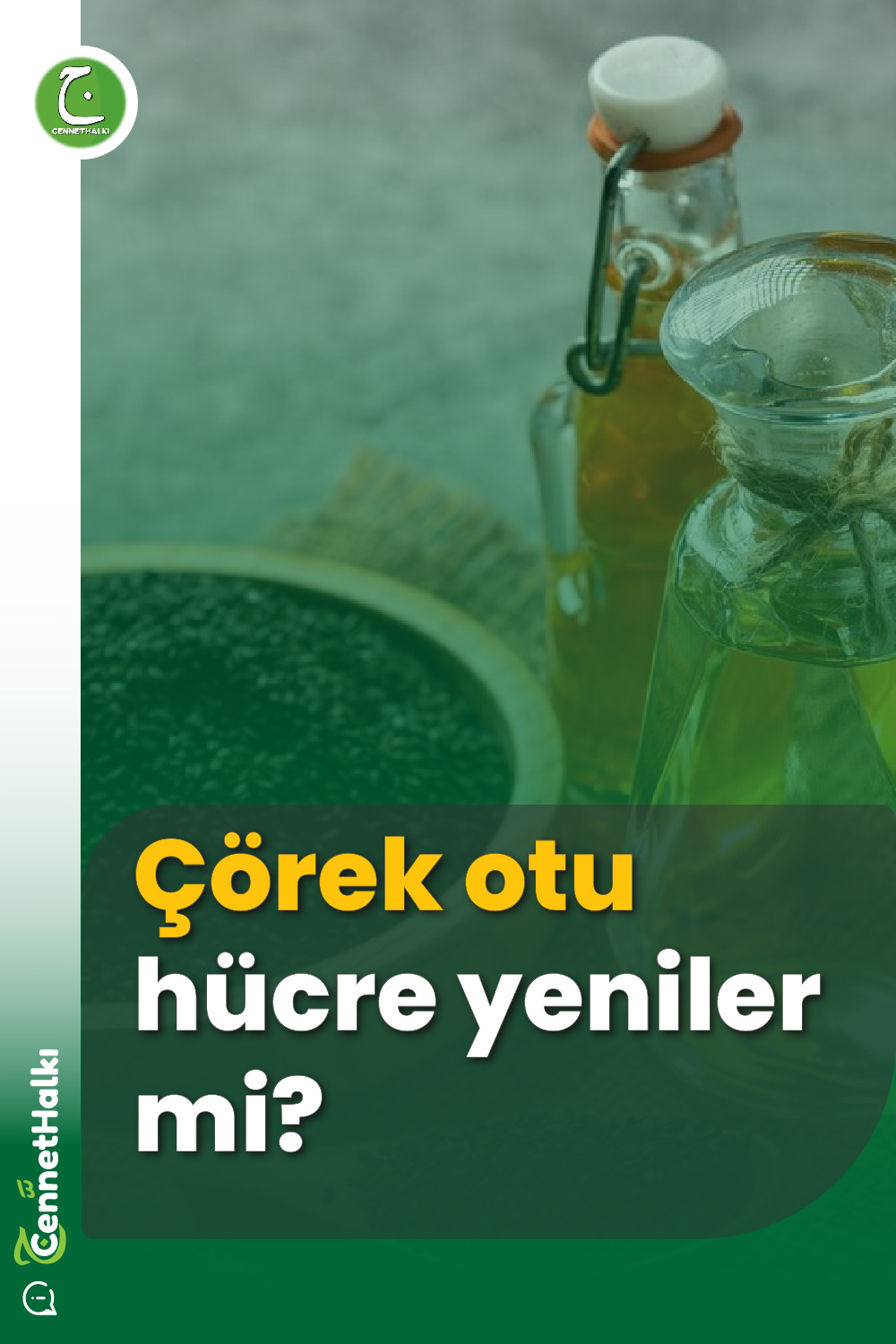 Çörek otu hücre yeniler mi?